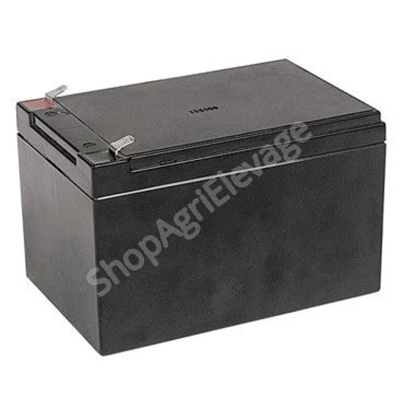PILE RECHARGEABLE 12 volts 12 Ah - Clôture - Bovins