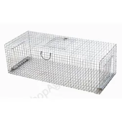 Piege a pigeon - Divers