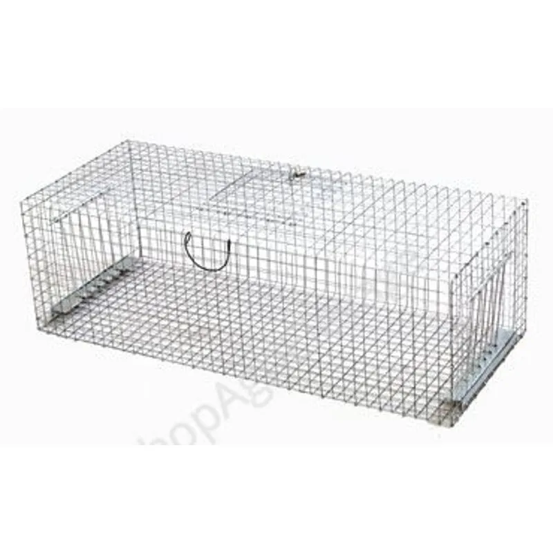 Piege a pigeon - Divers