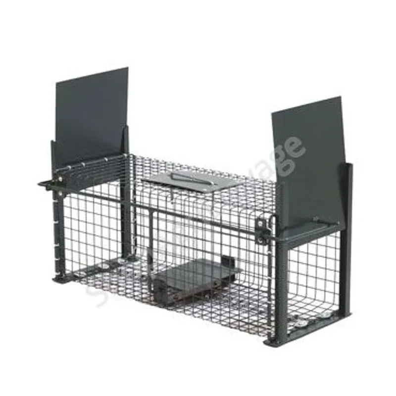 Ratiere - Rat / Souris