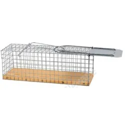 Nasse a rats - Rat / Souris