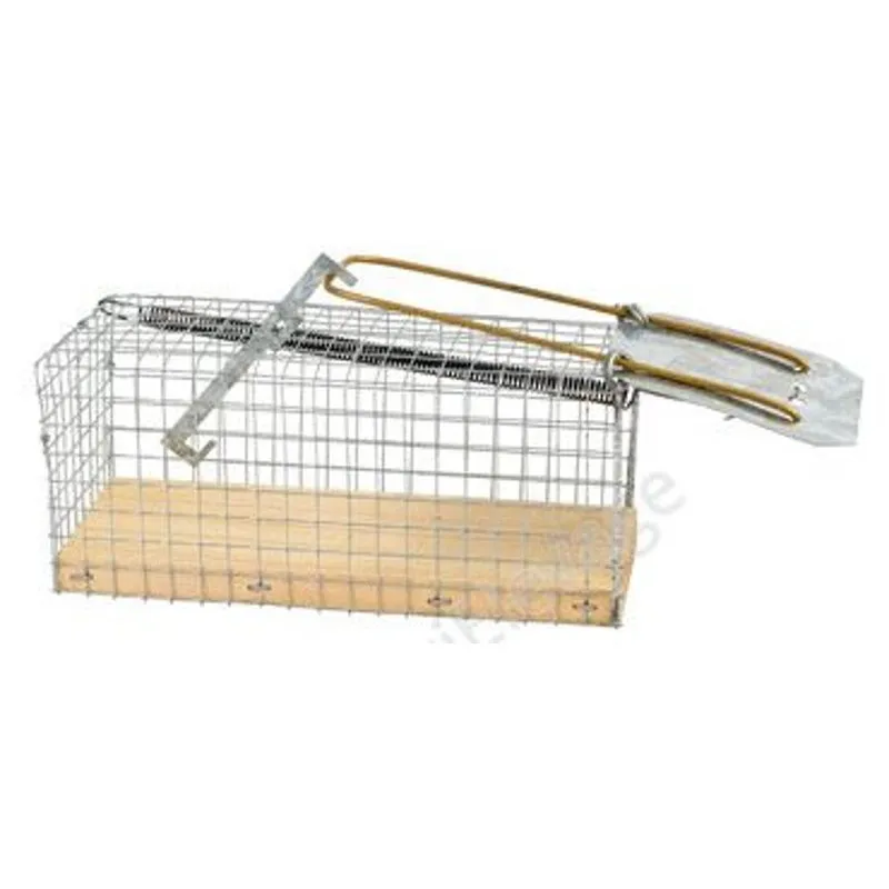 Nasse a souris - Rat / Souris