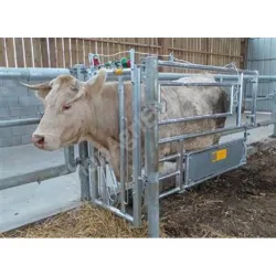 Barriere pour bovins : barriere cesarienne