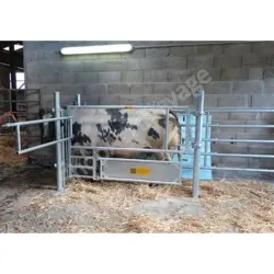 Barriere pour bovins : barriere cesarienne