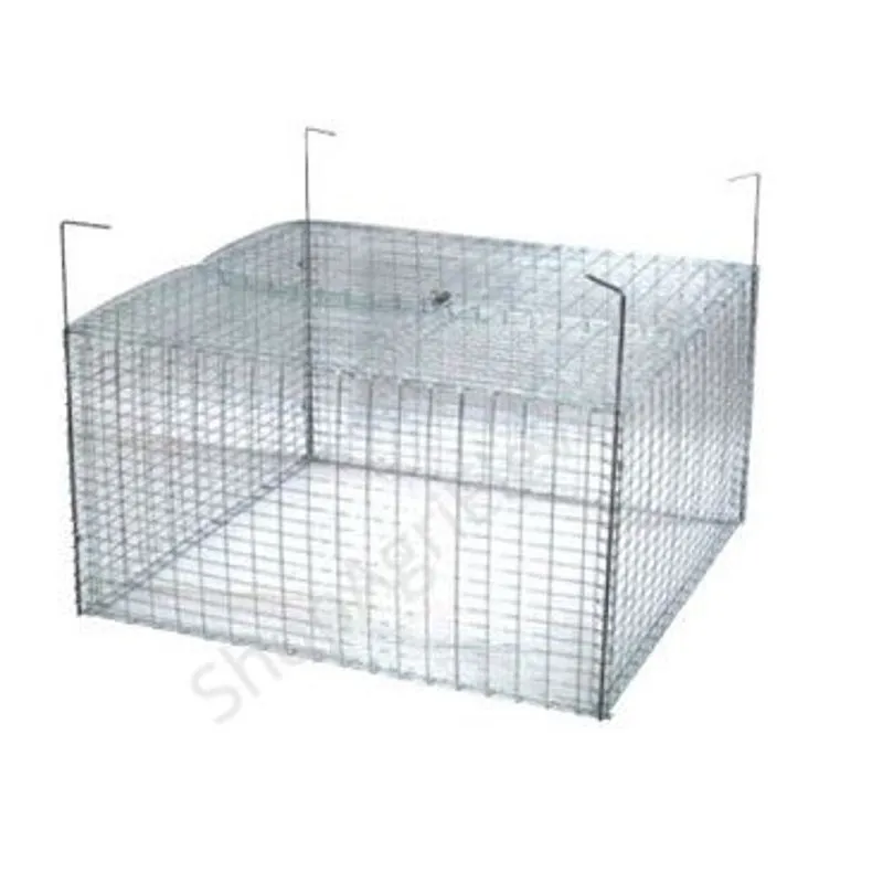 Cage a paturer - Contention - Volaille
