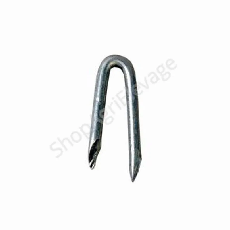 CRAMPON  5+50 mm par 5 kg - Clôture - Porcins