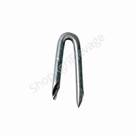 CRAMPON  5+50 mm par 5 kg - Clôture - Porcins