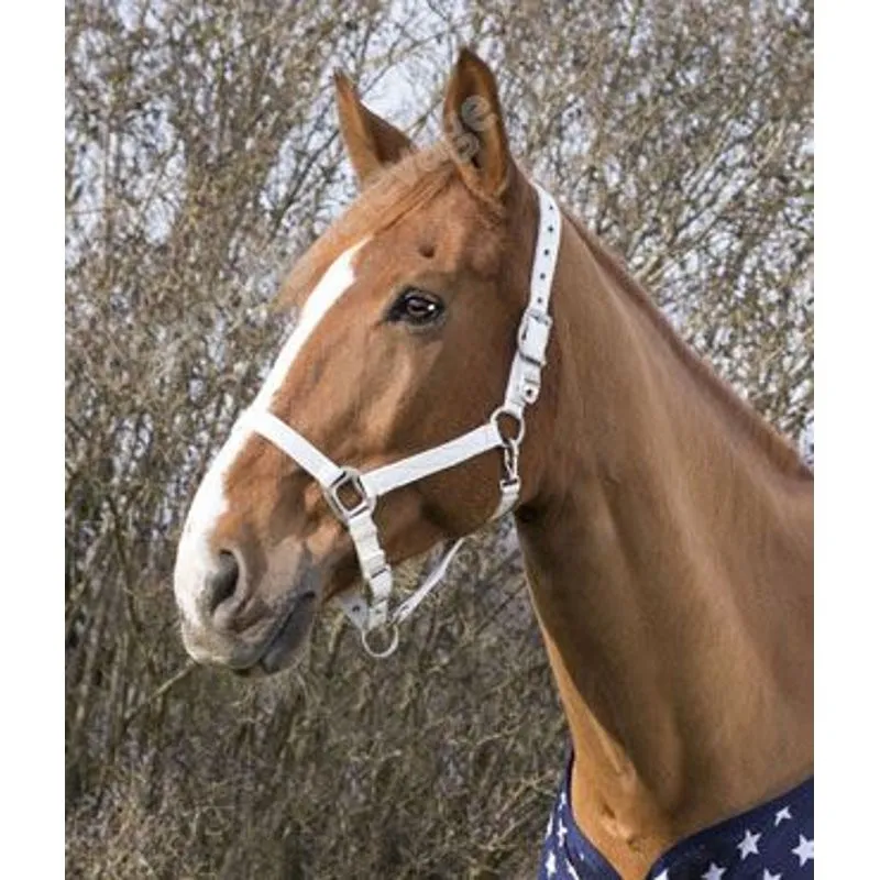 Licol equitheme pour chevaux, pur-sang et poney : divers coloris