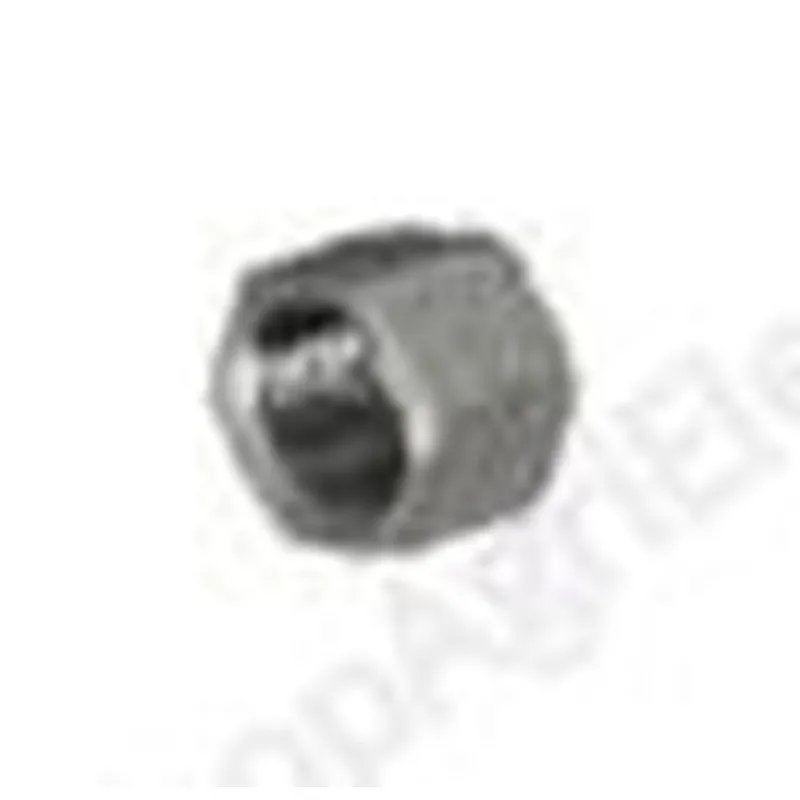 Raccord Bouchon femelle ½",  ¾"	 ou 1" en Inox - Abreuvement - Porcins