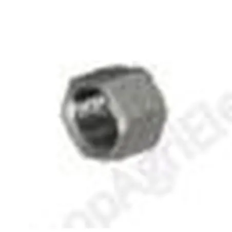 Raccord Bouchon femelle ½",  ¾"	 ou 1" en Inox - Abreuvement - Porcins