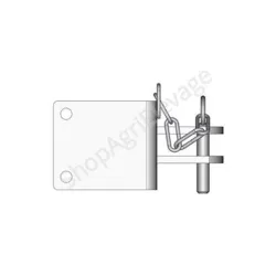 Chape bout de mur - Accessoire - Ovin / Caprin