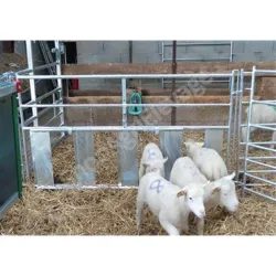 Claie ovin 7 lisses h.1m l.2m passage d’agneau avec broche - Barriere - Ovin / Caprin