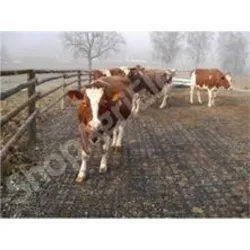 Dalle stabilisante ECORASTER E40 - Equins et Bovins