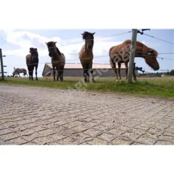 Dalle stabilisante ECORASTER E40 - Equins et Bovins