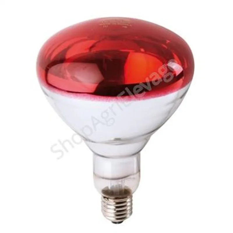 Ampoule à vis rouge