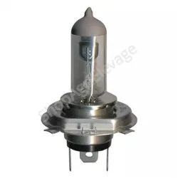 Ampoule H4 12V 55/60W