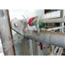 Embout plat en l - Accessoire - Bovins