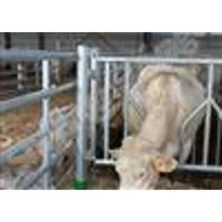 Embout rallonge l.94cm cornadis - Accessoire - Bovins