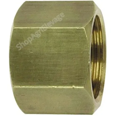 Mamelon laiton égal femelle avec butée 3/8"