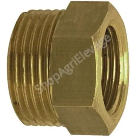 Mamelon mâle-femelle réduit 3/8" - 1/2"