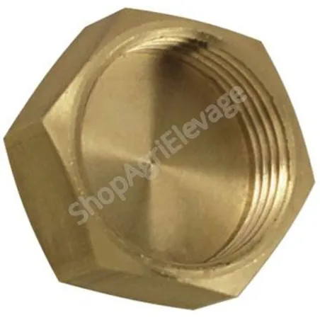 Bouchon laiton 6 pans femelle 3/8"