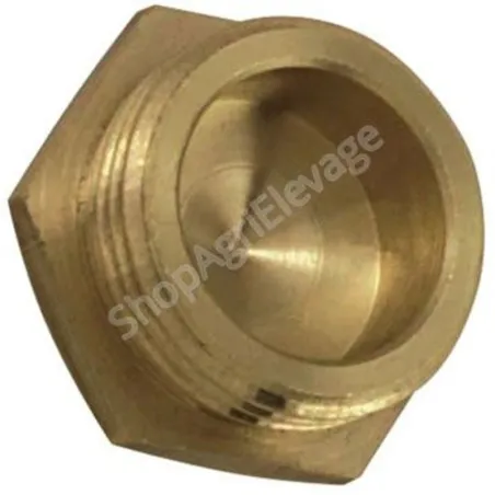 Bouchon laiton 6 pans mâle 3/8"