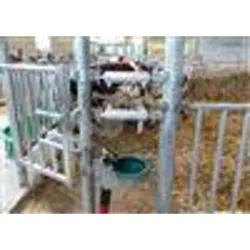 Manchon anti-passage universel - Accessoire - Bovins