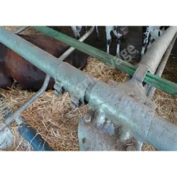 Manchon raccord tube - Auge - Ovin / Caprin
