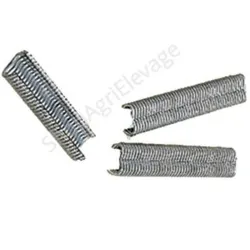 1000 agraffes grillage