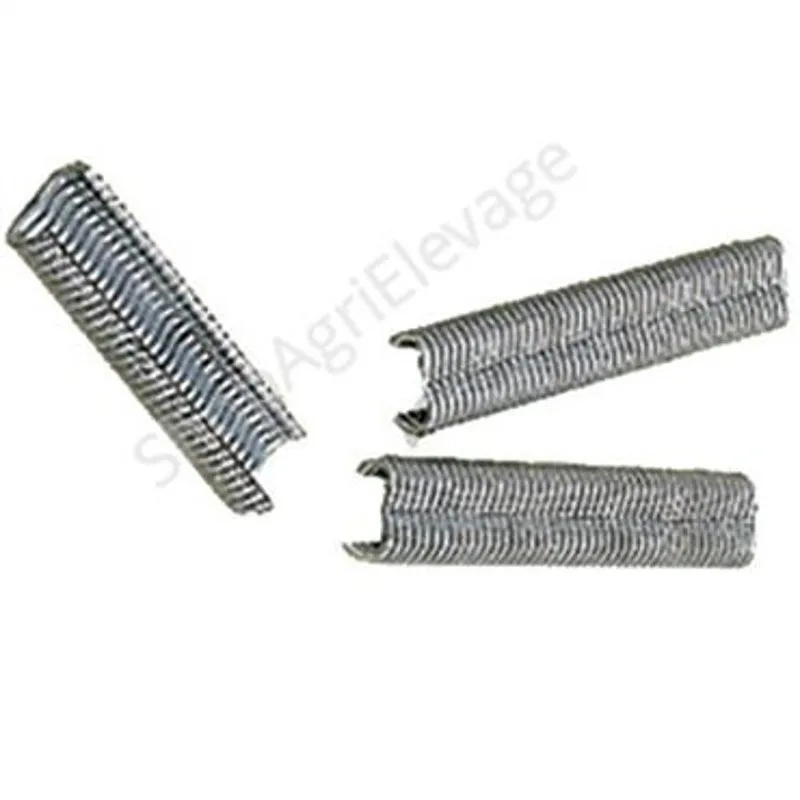 1000 agraffes grillage