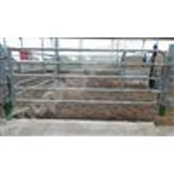 Barriere pour bovins : avant de porte standard ex5