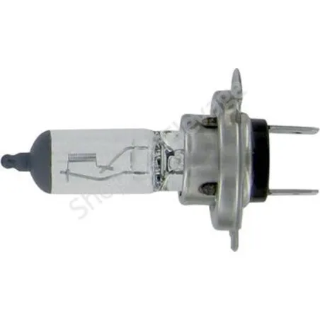 Ampoules H7  : éclairage  pour tracteur