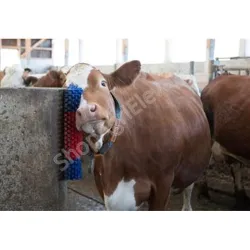 Brosse - Soins - Bovins