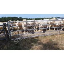 Barriere pour bovins : avant d’herbage autolock l.1.52m