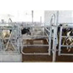 Barriere pour bovins : porte standard ex4