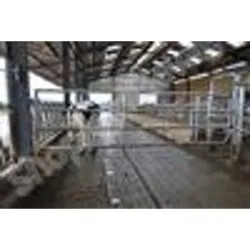 Barriere pour bovins : porte standard ex4