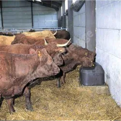Abreuvoir isolé ThermoLac La buvette pour chevaux et bovins