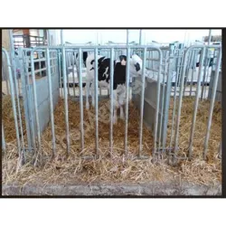 Portillon arriere de case a veau - Case à veau - Veau