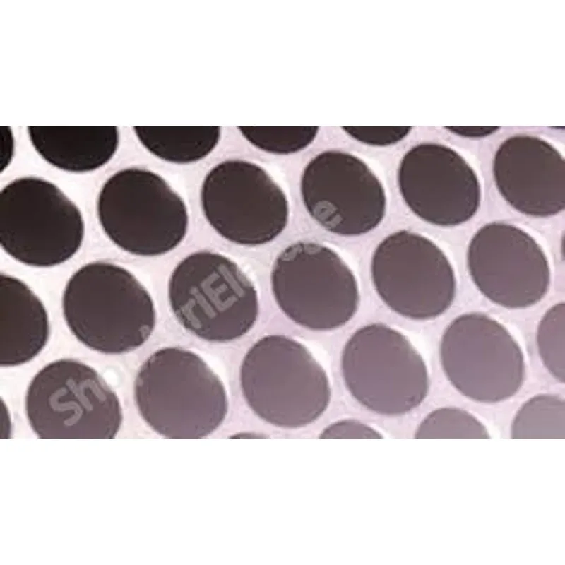Grille pour nettoyeur séparateur trous ronds