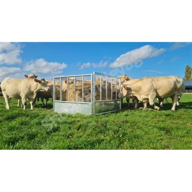 Râtelier basic pour vache avec passage de tête "PT" , vu dans un pré avec des bovins, de la marque Jourdain.