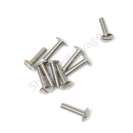 Sachet de vis TRL 8×35 inox (lot de 10)