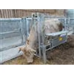 Barriere pour bovins : tablette cesarienne adaptable