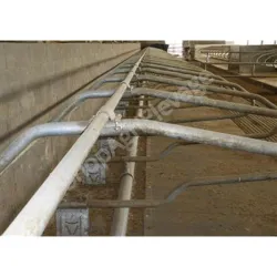 Tube galva - Auge - Ovin / Caprin