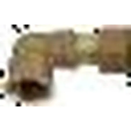 Coude orientable, ½" x ½" f/f, + joint - Abreuvement - Ovin / Caprin