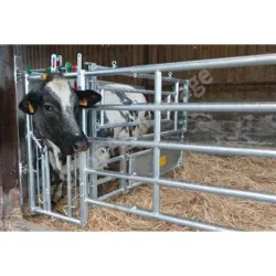 Barriere pour bovins : avant ex5 insemination version axial ii