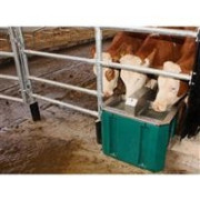 Accessoires pour l'abreuvement Bovins
